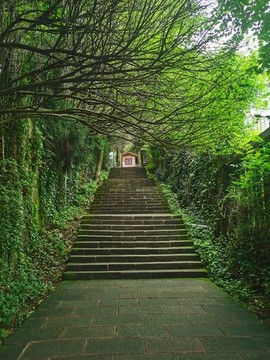 公園臺階
