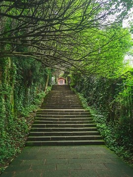 公園