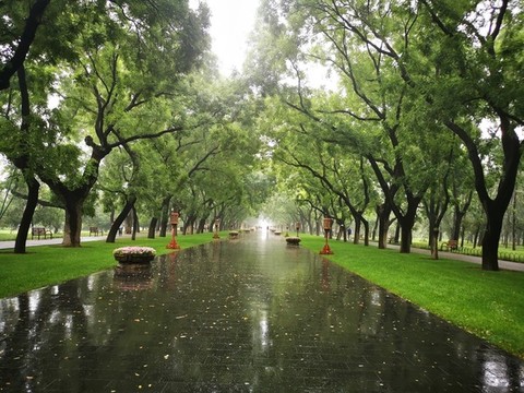 天壇公園景色