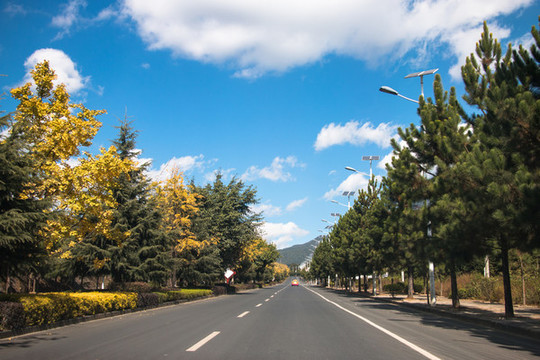 云南騰沖銀杏村