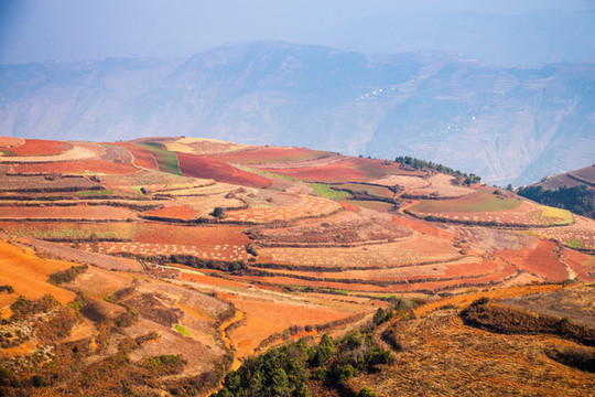 東川紅土地