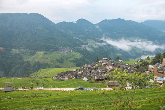 貴州加榜梯田