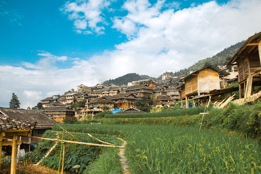 貴州加榜梯田