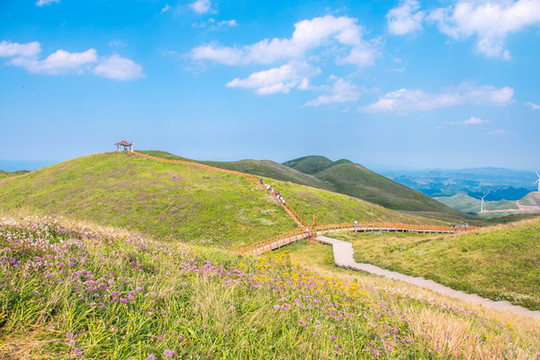 貴州畢節(jié)阿西里西韭菜坪旅游景區(qū)