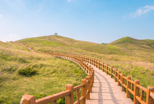 貴州畢節(jié)阿西里西韭菜坪旅游景區(qū)