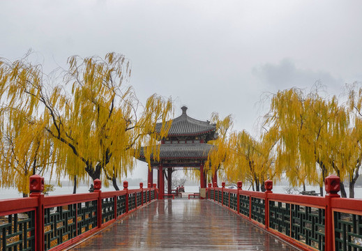 下雨天的北京頤和園知春亭