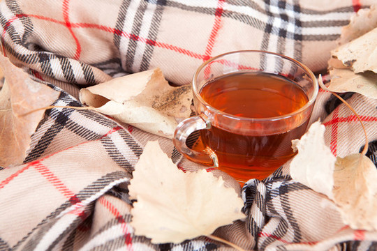 冬季的紅茶