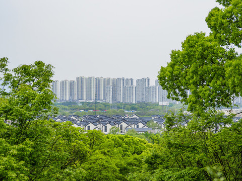 蘇州市區(qū)全景