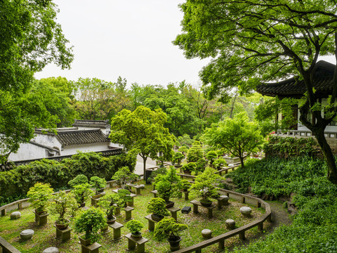 蘇州虎丘山萬景山莊