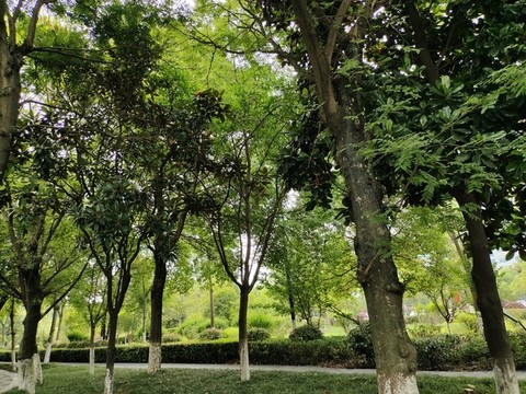 公園