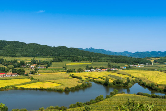 秋季鄉(xiāng)村的田野