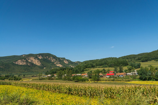 秋季山腳下的田野