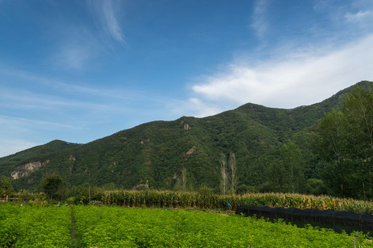 秋季山腳下的田野