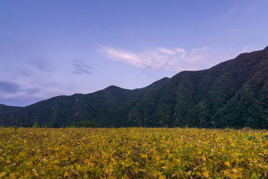 秋季山腳下的田野