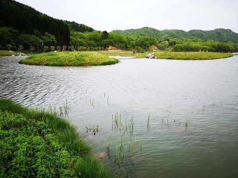 濕地公園