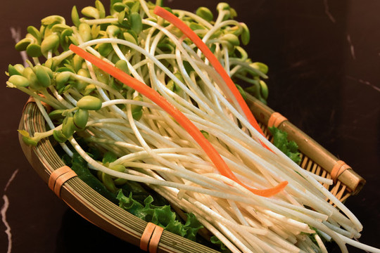 火鍋豆芽