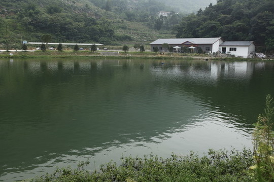 魚(yú)塘