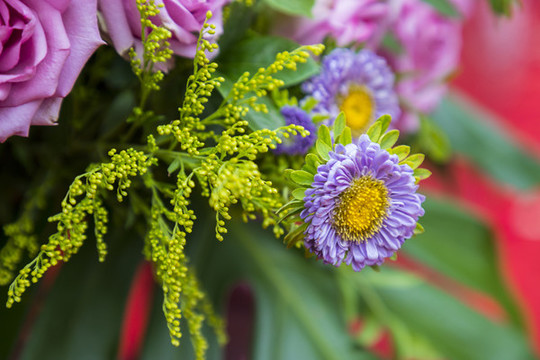 鮮花