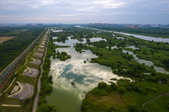 渭河濕地