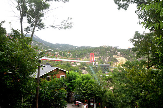 玻璃橋全景