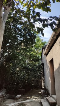 民居