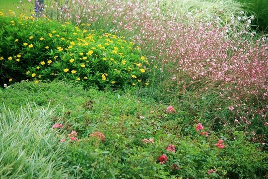 生態(tài)公園