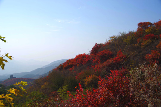 北京西山國家森林公園