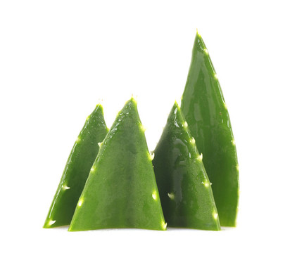 蘆薈