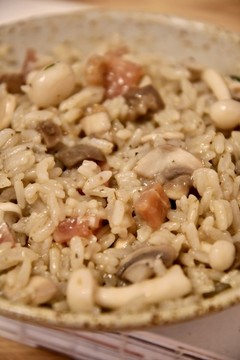 雜菇燴飯