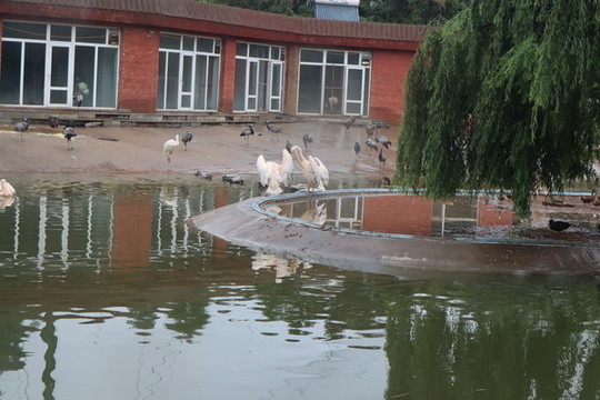 動物園