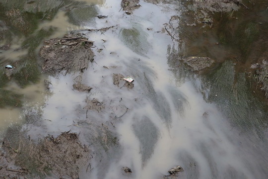 河道