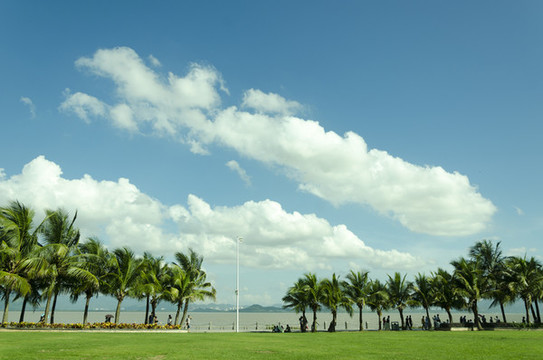 深圳灣公園