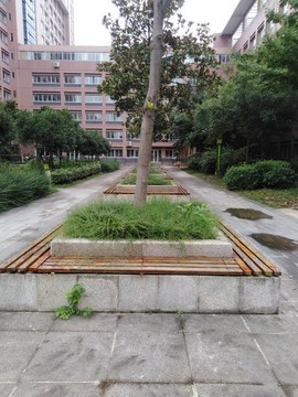 花壇
