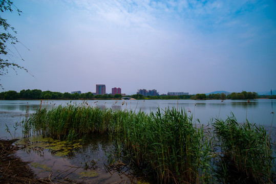 北京白浮泉遺址