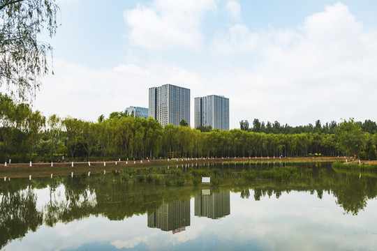 銀川鳳凰公園風(fēng)光