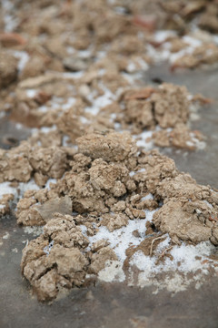 北方嚴寒下的凍土殘雪和冰凍