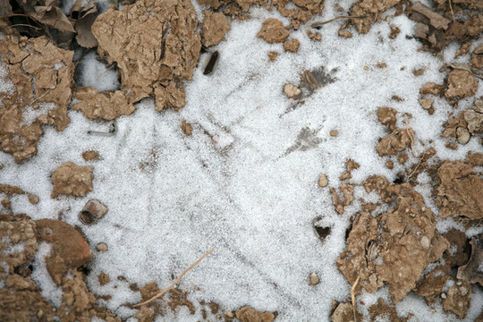 北方嚴寒下的凍土殘雪和冰凍