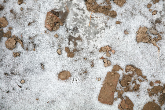 土地上遺留的殘雪背景