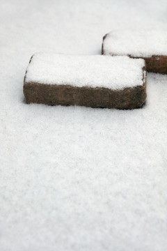 地面上的磚頭和一層雪