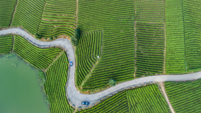 茶山小路