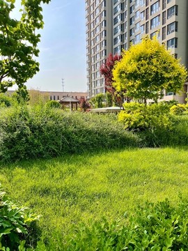 小區(qū)