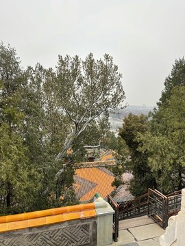 北海公園