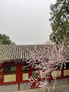 北海公園