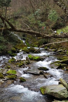湖北神農(nóng)架