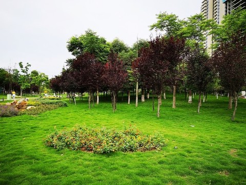 城市公園