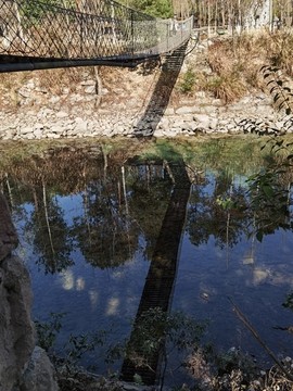 水上鐵索橋