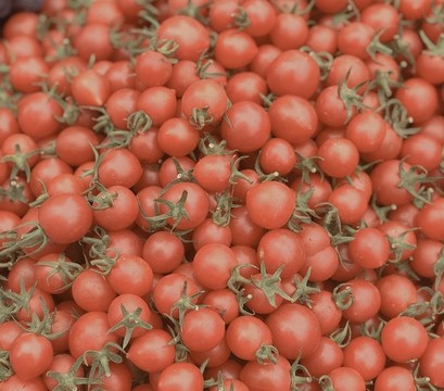 小西紅柿