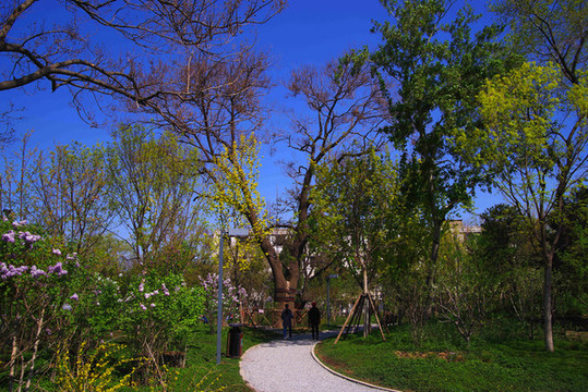 北京廣陽谷城市森林公園