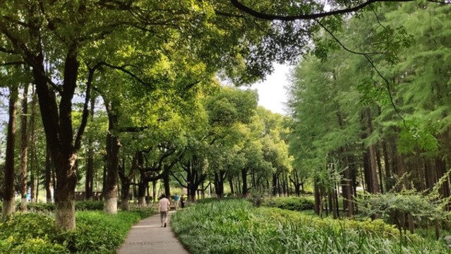 公園步道