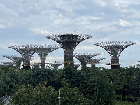 新加坡風光